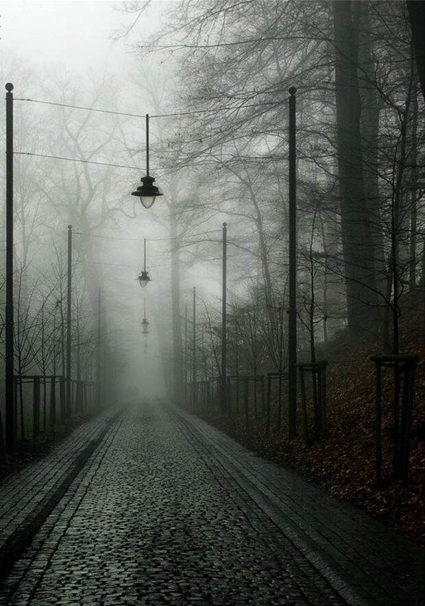 Регистрация в никуда. Мрачная дорога. Мрачный город. Мрачный город в тумане. Мрачный пейзаж.