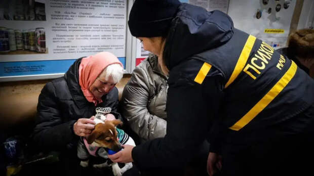 «Нас ждет катастрофа»: в Киеве призвали Зеленского срочно договориться с РФ