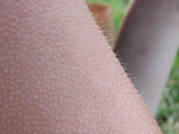 Фотография: 23 неизвестных факта о нашем мире, которые заставят вас задуматься №11 - BigPicture.ru