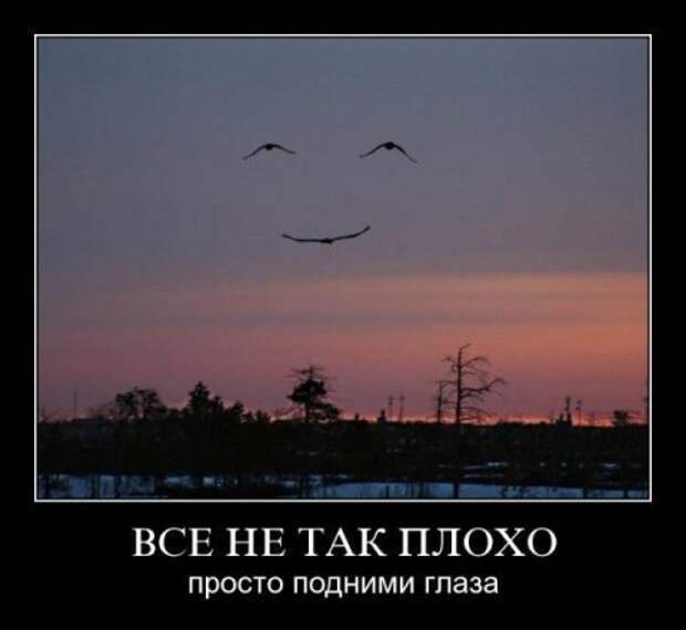 Смешные демотиваторы приколы (25 фото) Смешные демотиваторы приколы (25 фото)