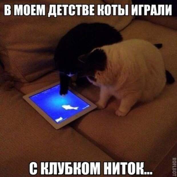 Забавные фотомемы (24 шт)