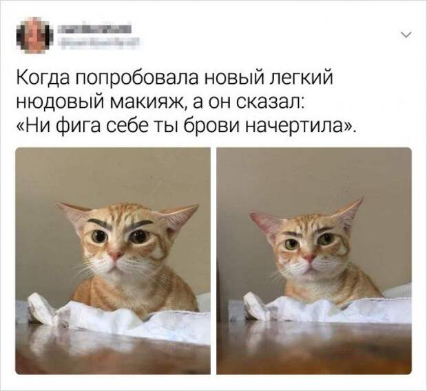 192828_5_trinixy_ru.jpg