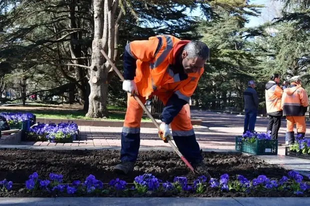 Яркие цветочные композиции появляются в Симферополе