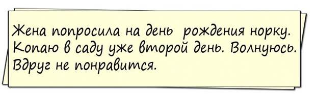 Женщины жалуются друг другу: — Мой благоверный живет одним днем!...