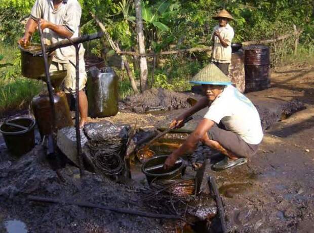 Яванская нефть Ява, Индонезия, добыча нефти, длиннопост