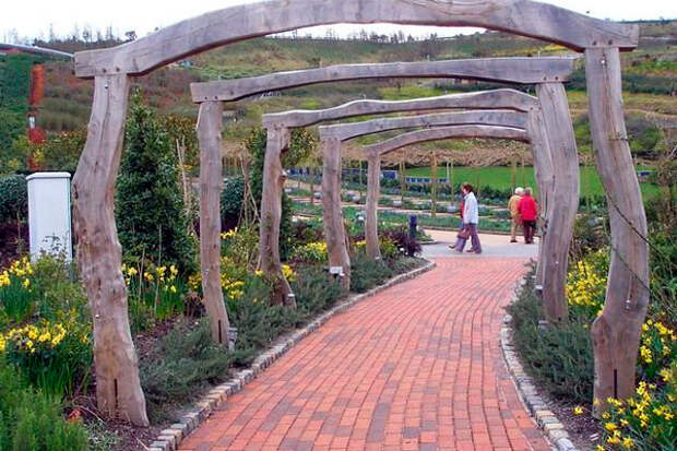 Райский сад