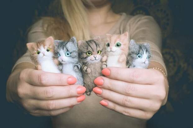 Милые котята из войлока от рукодельницы Елизаветы Делекторской