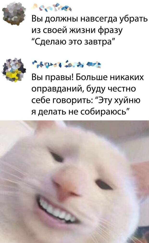 Комментарии и картинки из соцсетей