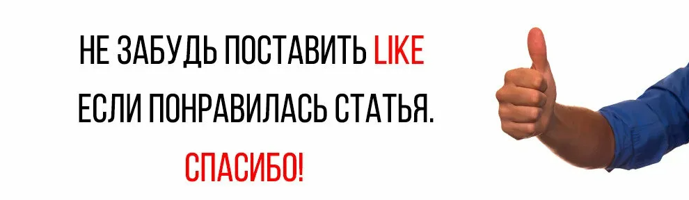 Грамотный уход за грядками – основа хорошего урожая
