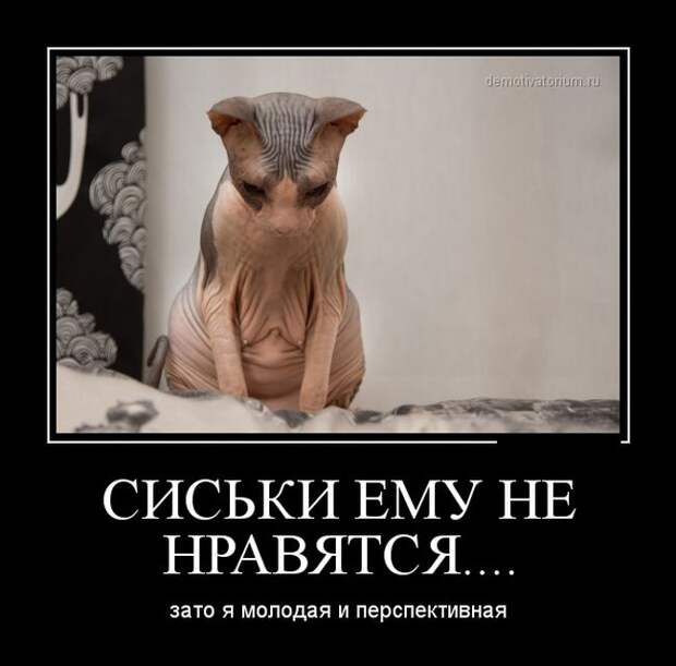 Демотиваторы демотиваторы, фото, юмор