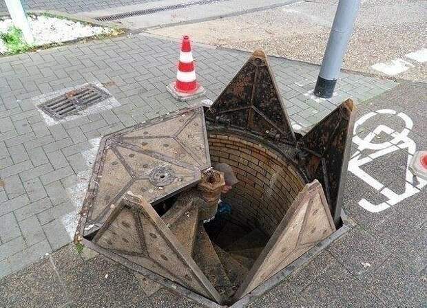 Любопытные факты, которые вас удивят