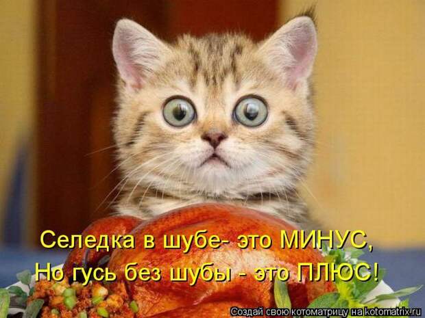 Селедка в шубе - это минус! А гусь без шубы - это плюс!