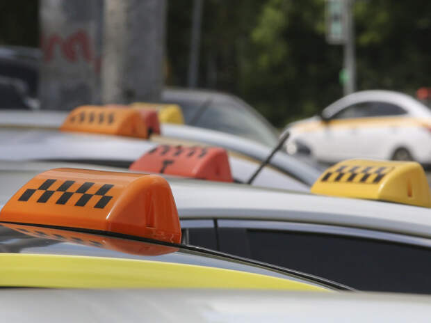 Минтранс перечислил самые необычные находки в такси — от детей до змей