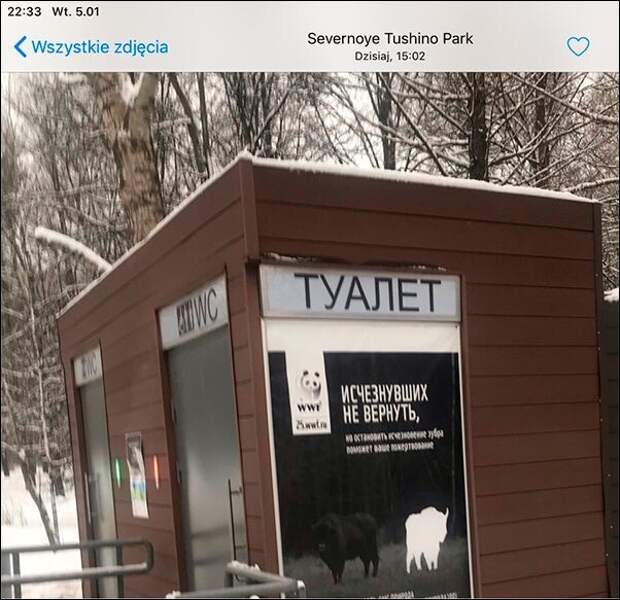 Маразм крепчал