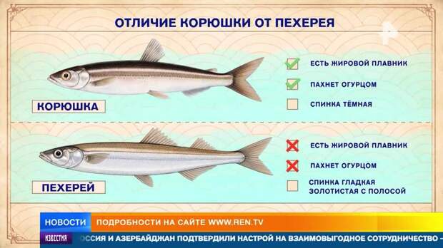 Поддельную "аргентинскую" корюшку начали продавать на рынках России
