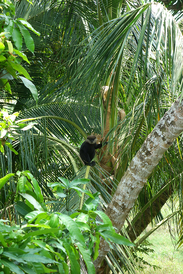 DSC03349_3.jpg DSC03349_3.jpg