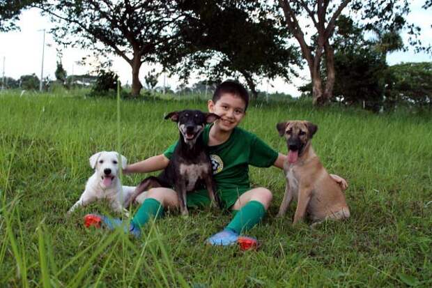 Папа с сыном спасли жизни 3 собак, а после построили приют для животных