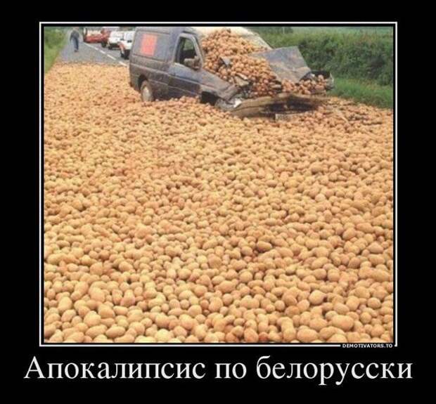 Демотиваторы и позитив