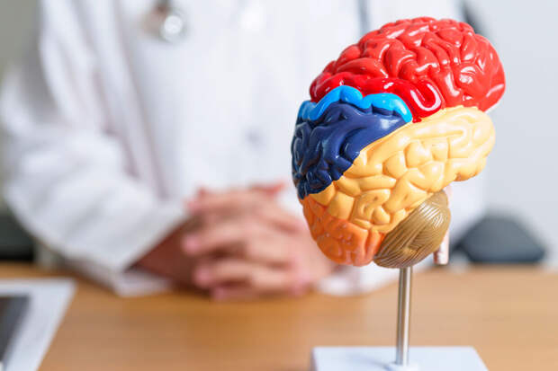 GenPsy: депрессия у пожилых может указывать на болезнь Паркинсона и деменцию