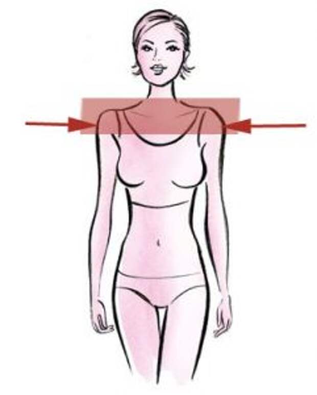 Виды плечей. Виды женских плеч. Широкая грудная клетка у девушки. Формы женских плечей. Женская фигура с широкой грудной клеткой.