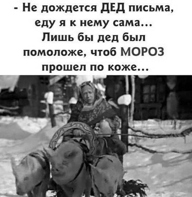 Юмор в картинках и без