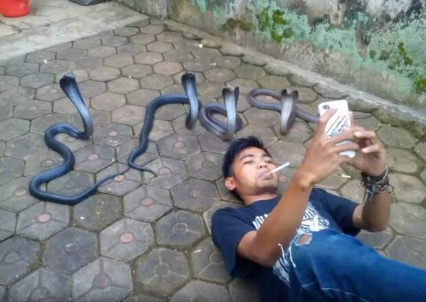 www.vsyako.net