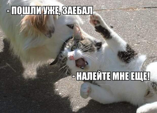 Смешные картинки из соц.сетей  картинки, комментарии, переписка, соц. сети, юмор