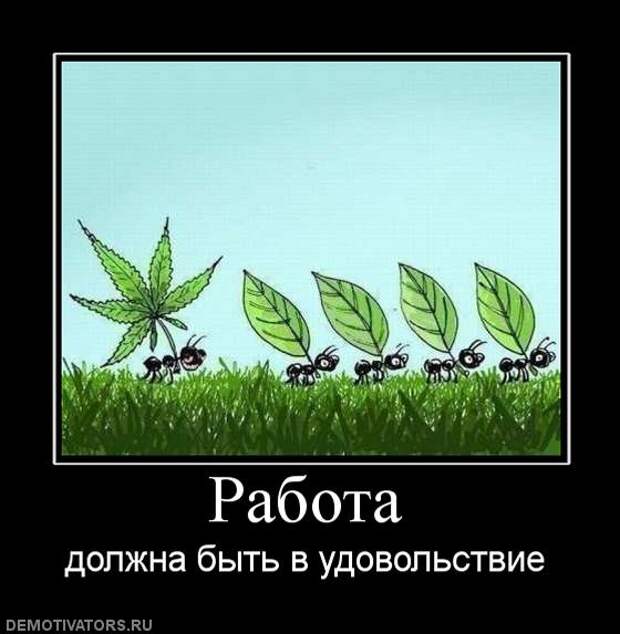 Анекдотики коротенькие, но симпатишные