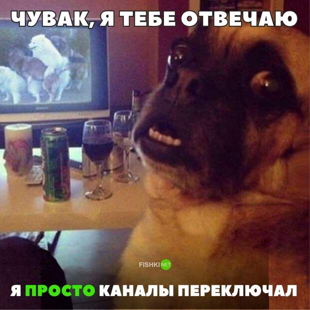 30 позитивных картинок, которые скрасят ваш  день картинки, прикол, юмор