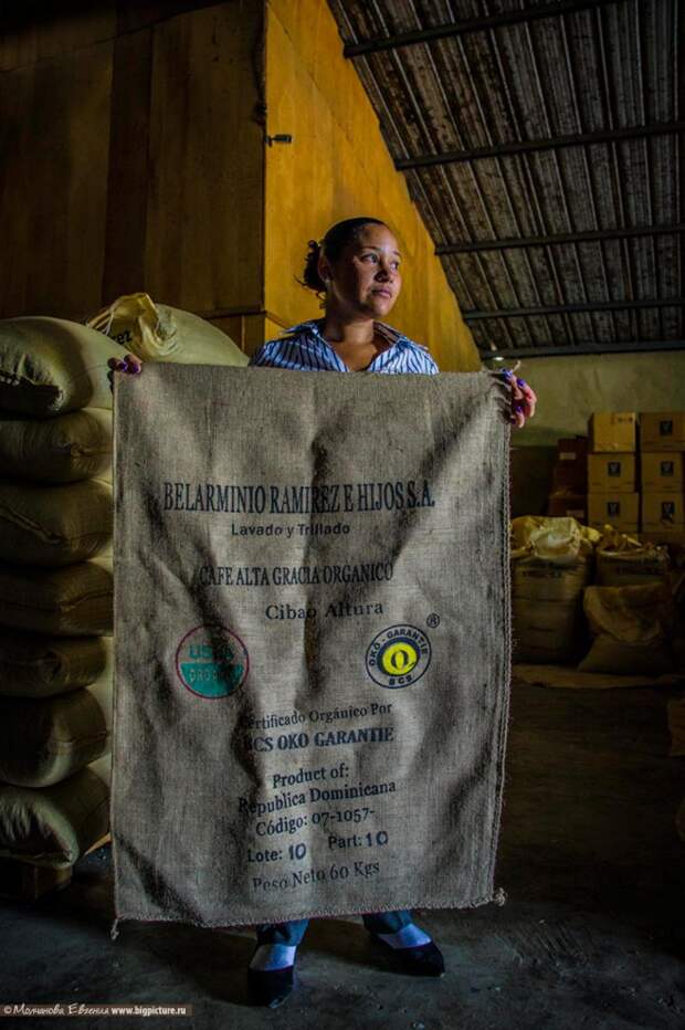 Как устроено производство кофе в Доминикане