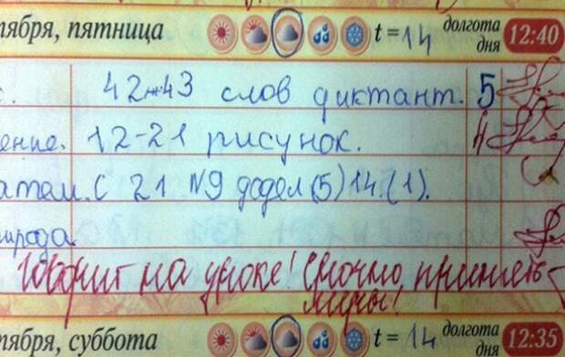 25 смешных замечаний в школьных дневниках 25 смешных замечаний в школьных дневниках