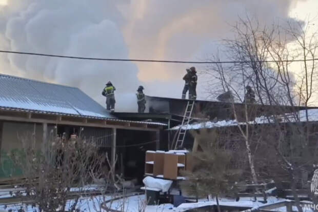 В Хакасии ликвидировали возгорание в приюте для животных "Каштанкин дом"