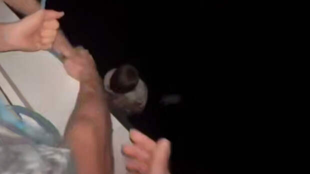 В Воронеже проверяют видео «экстремального» спуска ребенка на тросе из окна