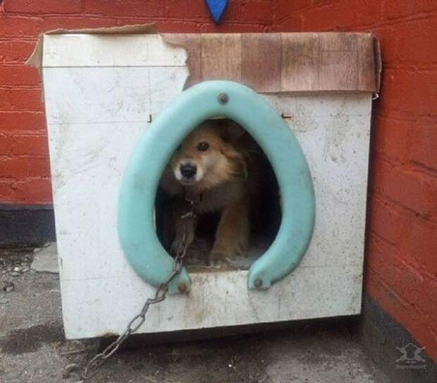 Русская смекалочка