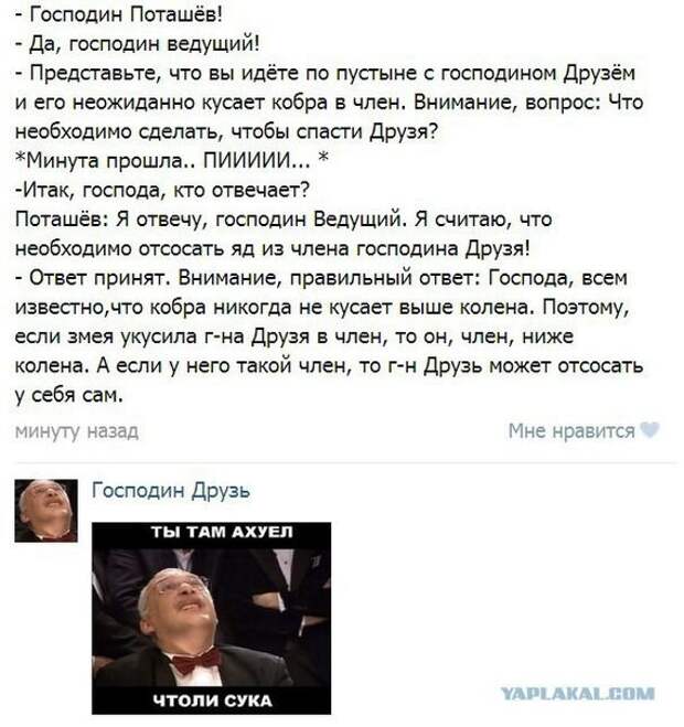 Веселые картинки, которые поднимут вам настроение! Веселые картинки, которые поднимут вам настроение!