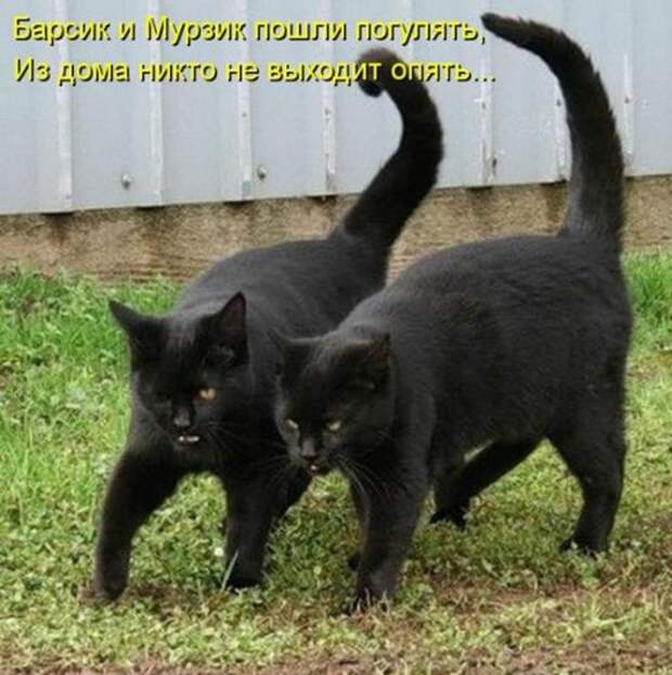 c87115bff7076c84e66af819f8b_prev