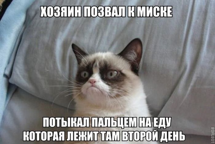 Прикольные картинки (102 фото) Прикольные картинки (102 фото)