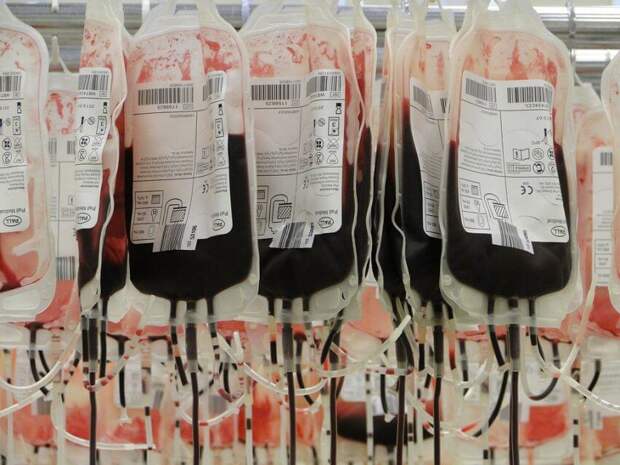 В Беговом можно сдать кровь для детей пострадавших в ДТП / pixabay.com