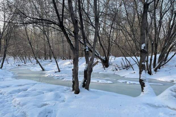 Секрет экономии на продуктах, подсмотренный в якутском дворе