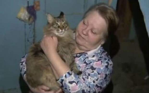 Бездомная кошка нашла ребенка, брошенного матерью у мусоропровода