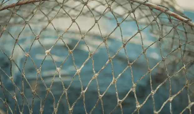 Убийство произошло на форелевом хозяйстве в Карелии