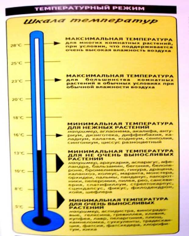 температурный режим - шкала температур 1-1