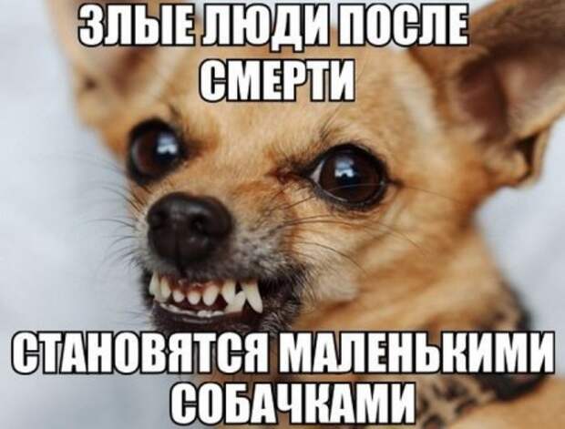 1423041433_kartinki-22