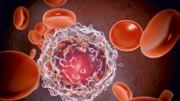 Врач Звонков: причиной рака может быть любой фактор, снижающий работу иммунной системы