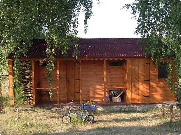 Хочется жить в красоте. Т.К.даже в масштабах города, не только страны сделать это очень трудно, будем делать красоту на даче и в Стране мастеров. Согласны? Тогда вперед... Принцип нашей прогулки-дешево и сердито. Минимум средств и времени. Это очитки , растут в кувшине, на зиму убираю в погреб, прекрасно переносят это "заключение". фото 6