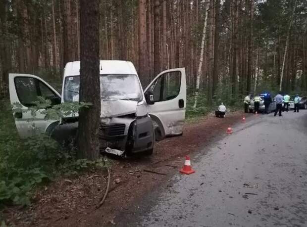 пьяный водитель врезался в дерево