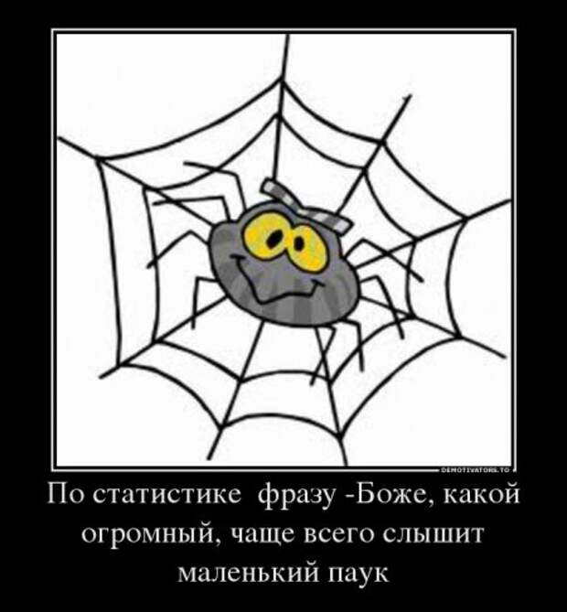 Обо всём.