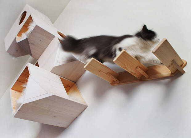 Catissa: кошкин дом