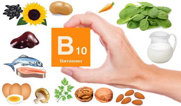 В каких продуктах содержится витамин В10 - В каких продуктах содержится витамин В