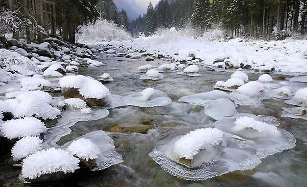 Долина Ледяных Цветов